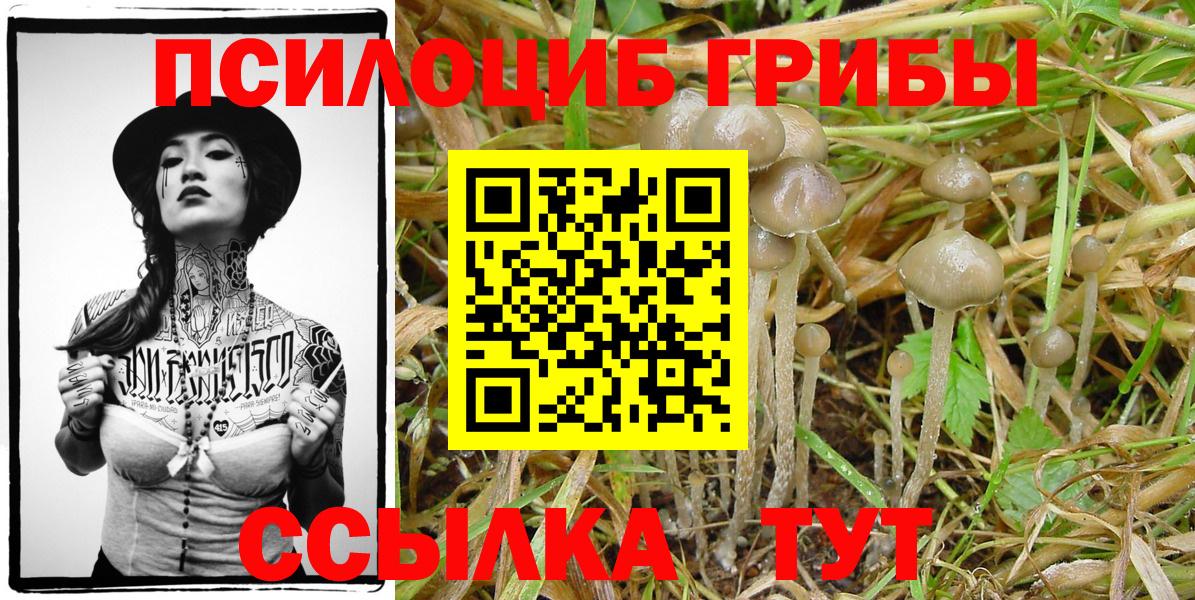 Соликамск  Псилоцибиновые грибы прущие грибы  купить наркотики сайты  Вход с VPN 